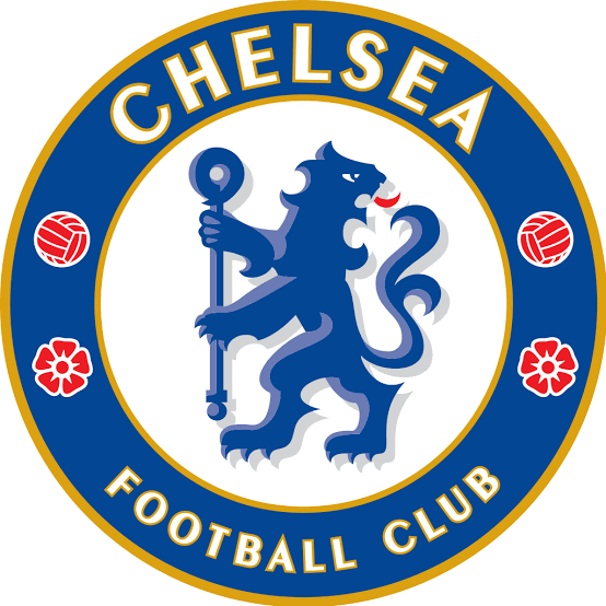 DM CHELSEA U-13